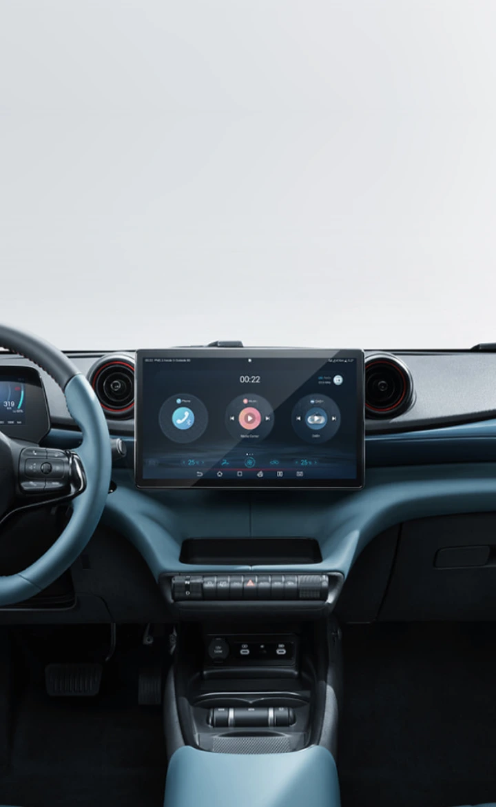 BYD DOLPHIN sistema multimedia